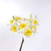 3 Stems White Daffodil Flower Bunch 46cmH